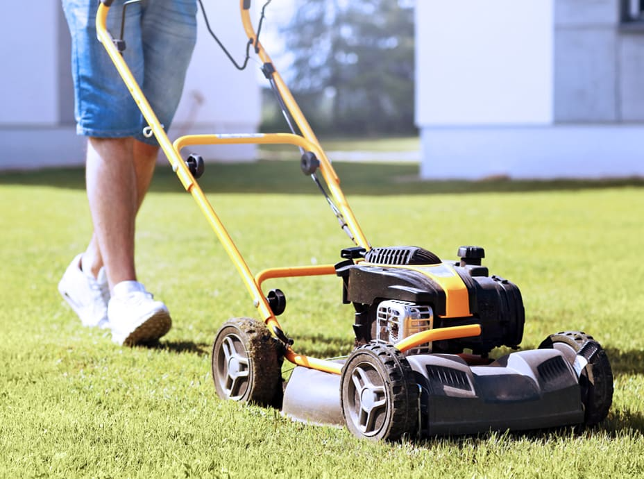 Lawn Mowing